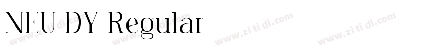 NEU DY Regular字体转换
